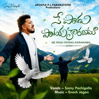 Ne Paadu Paataku Kaaranama