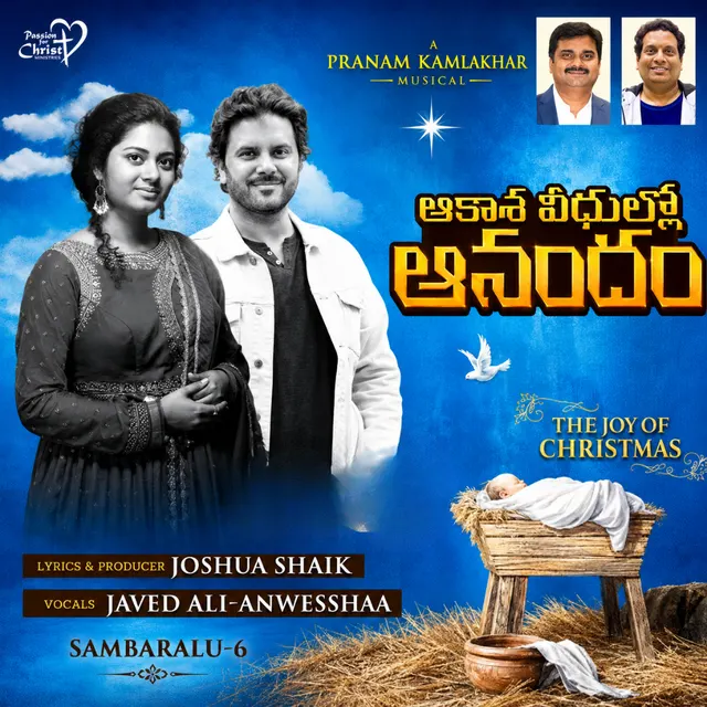 Aakasa Veedhullo Anandam