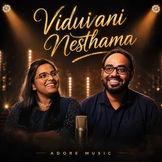Viduvani Nesthama