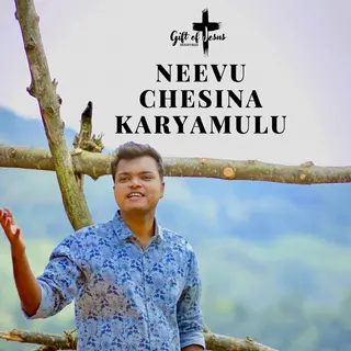 Neevu Chesina Karyamulu 