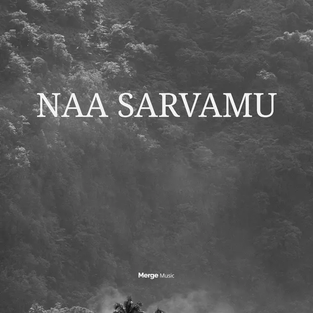 Naa Sarvamu