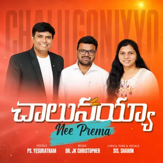 Chaalunayya Nee prema 